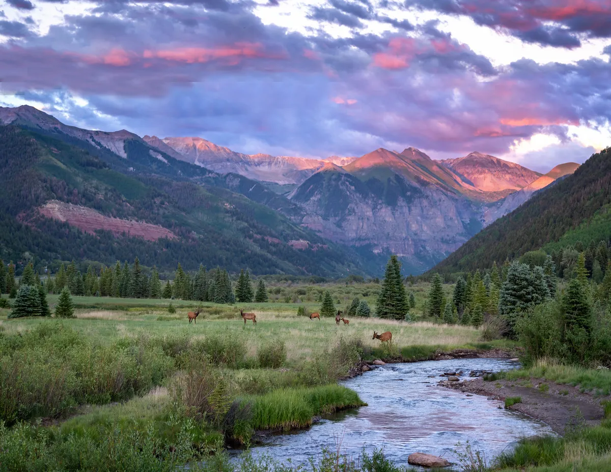 This image showcases a vibrant green meadow stretching into the distance, framed by majestic mountains and a flowing stream in the foreground. A few deer graze peacefully, and the colorful sky hints at sunset, creating a tranquil yet dynamic atmosphere. The scene is rich with opportunities for wildlife observation, nature walks, and quiet moments by the stream, embodying the essence of outdoor exploration.